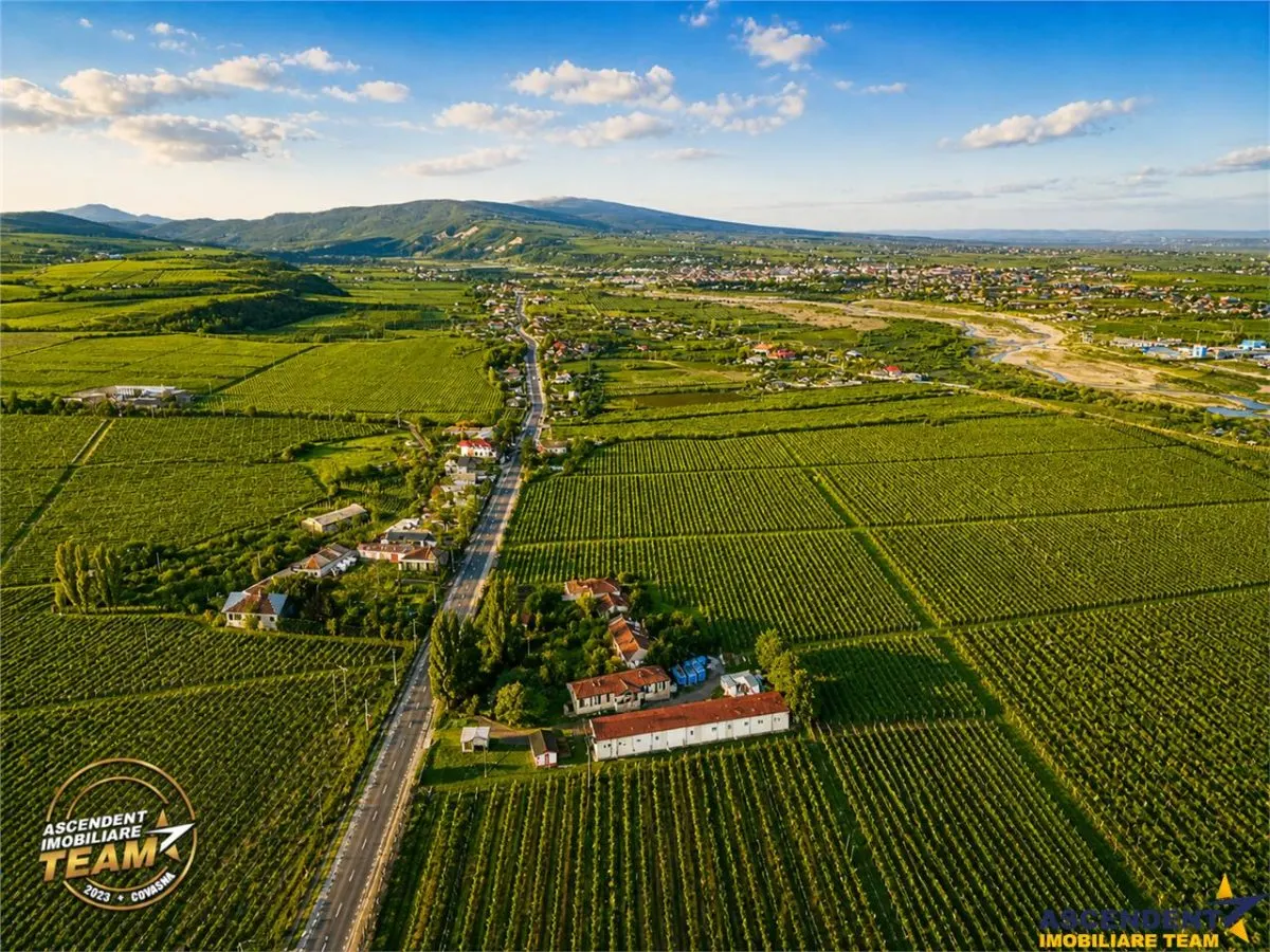 FILM! Domeniu de 4.000 mp intravilan+ casa autentica, in podgoriile Odobesti,Vrancea - foto 5