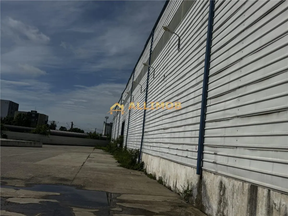 Hale cu poduri rulante de 12,5 t, si 5,5t in Ploiesti, zona Xenia. - foto 16