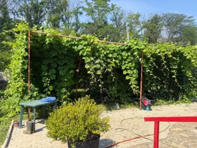 Casa din lemn masiv | 3 camere | Teren 5.000mp -Berceni Prahova - foto 10
