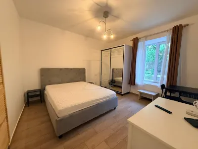 Centru - N Gane , apartament 1 camera , renovat complet - Iasi