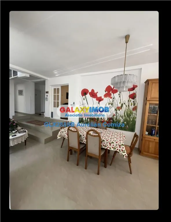 Vanzare casa superba 10 camere Olanesti-Vladuceni - foto 5