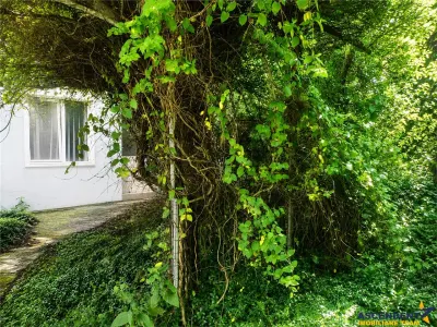 Casa saseasca, 2 corpuri, 9 camere, cu teren 2.826 mp, rezidential sau potential afacere, Sanpetru, Brasov - Sanpetru