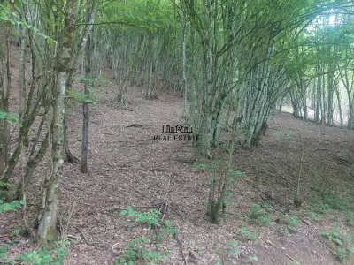 Teren in Bulzestii de Sus 2255mp - Bulzestii de Sus