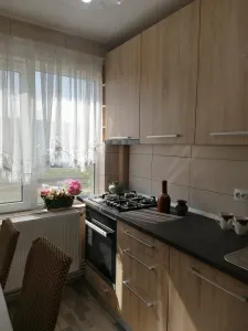 Apartament 2 Camere Alexandru cel Bun - 450 euro - Iasi