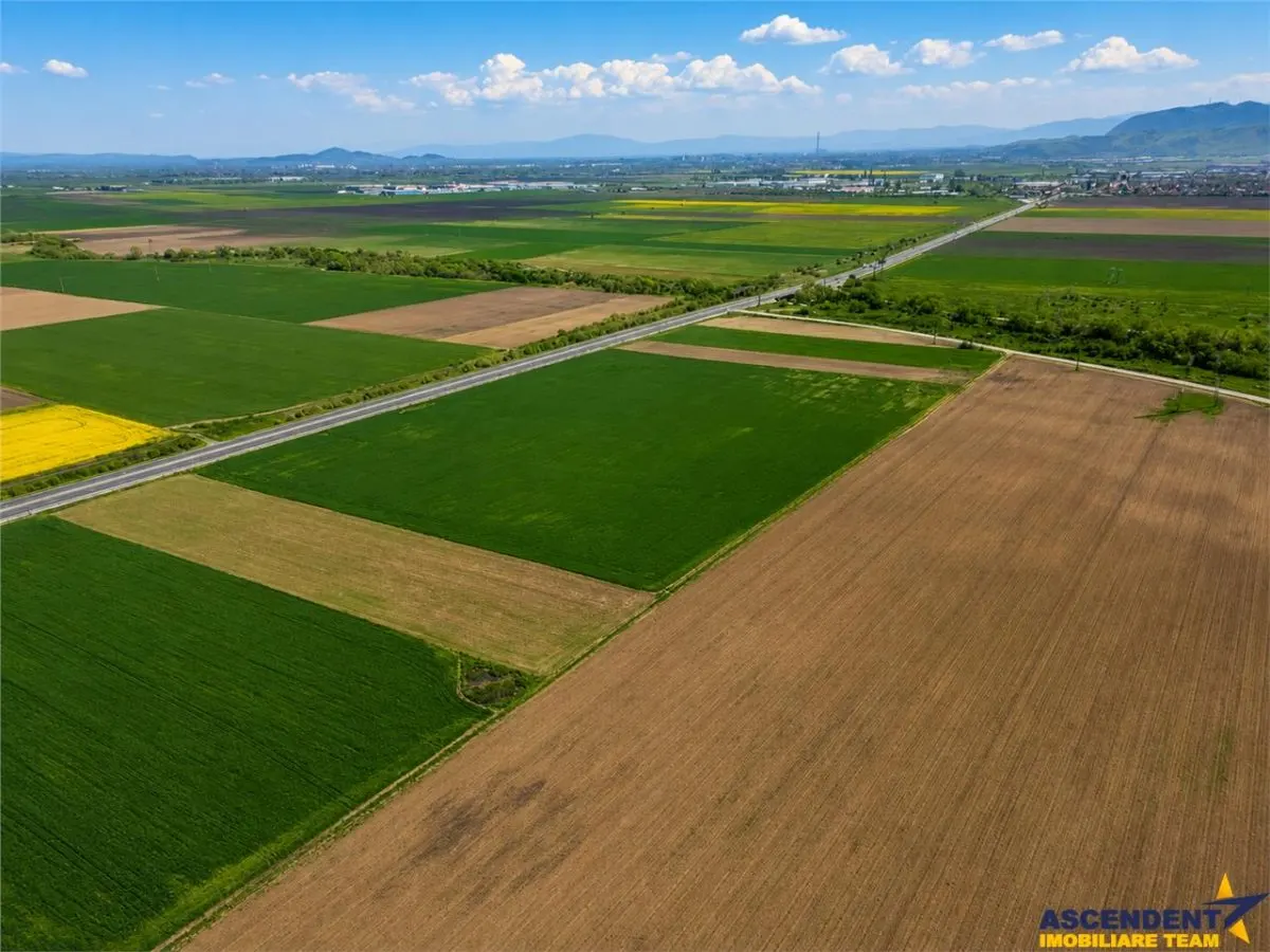 Sectiunea Premium! Teren 47.577 mp, Codlea . Ghimbav, pozitie excelenta la DN 11 - foto 8