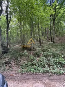 Teren intravilan pentru dezvoltare turistica - foto 6