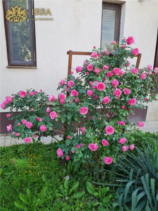 Casuta de la Snagov! - foto 20