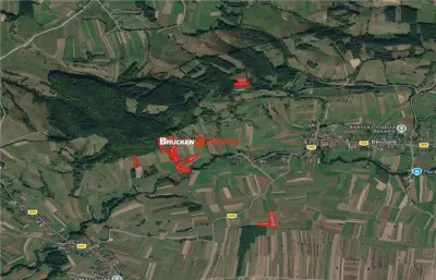 Aproximativ4 ha teren | Casa batraneasca | Beiusele - Bihor - foto 12