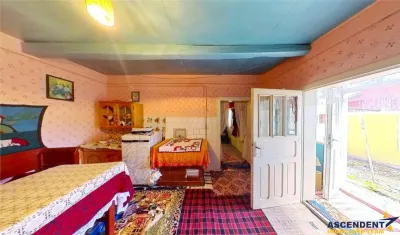 Tur 3D! Casa traditionala+ domeniu de 4.300 mp,livada,anexe:refugiu apreciabil Craiesti, la 28 km de Targu Mures - foto 17