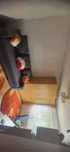 Apartament 3 camere, Florilor,2 gr .sanitare,renovat,140000 Euro neg - foto 10