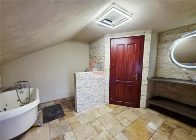 Vila, Cerneteaz, Teren Generos, Casa de Oaspeti, Beci, Garaj - foto 20