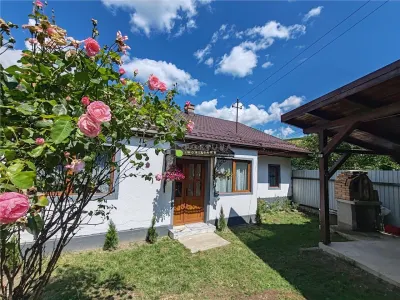 Casa Zizin , 221 mp teren , renovata - Zizin