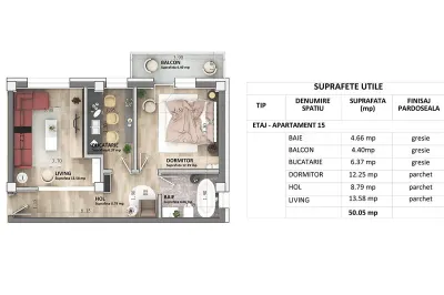 C3 Apartament 2 camere  D  50 mp  ASTORIA Lunca Cetatuii 2027 - foto 3