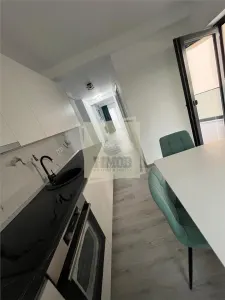 Apartament de lux cu 2 camere si gradina pe Doamna Stanca - foto 10