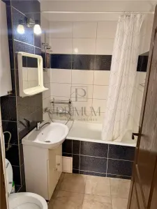 Calea Bogdanestilor, apartament 2 camere, centrala proprie, clima - foto 6