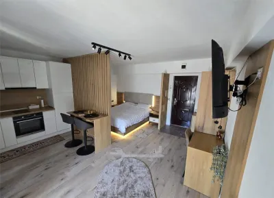 Studio modern, zona centrală – Mobilat și utilat | Ideal investiție - Iasi