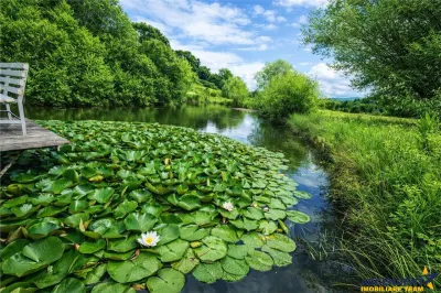 Domeniu de 30.000 mp + lac propriu +Vila protocol + Special - Brasov