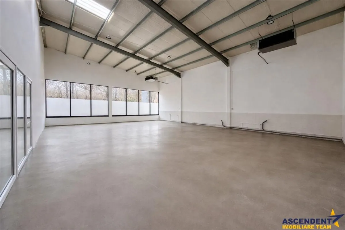 Hala productie premium+pachet afacere, domeniu de 4.700 mp teren,Solovastru, Mures - foto 5