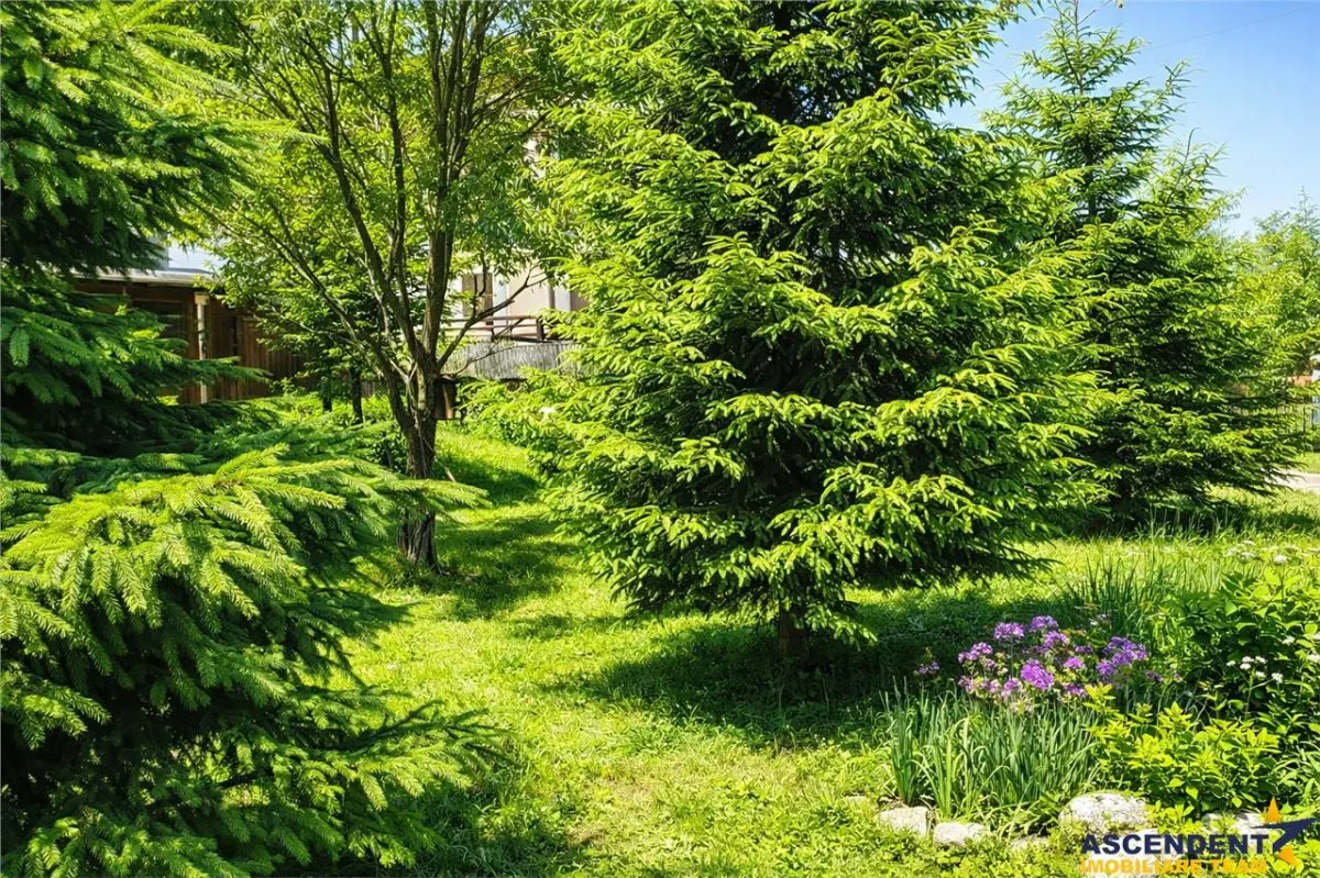Locatie cu patru anotimpuri intr- o zi, incadrata de 2.350 teren, Bran - Fundata, Brasov - foto 1
