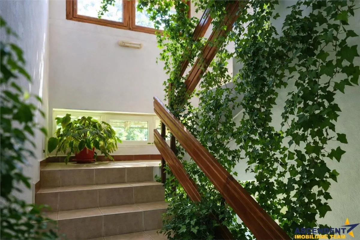 Locatie cu patru anotimpuri intr- o zi, incadrata de 2.350 teren, Bran - Fundata, Brasov - foto 3
