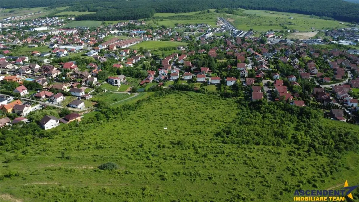 FILM! Teren pretios: 17.200 mp, recomandat investitional/dezvoltare,Livezeni,Mures. - foto 11