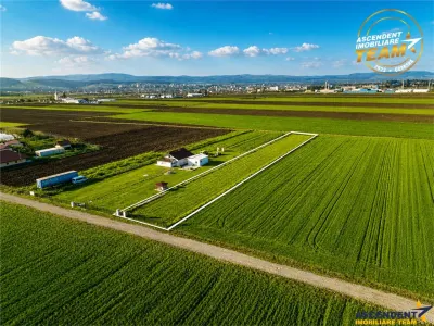 Liniste si aer curat in proximitatea Municipiului Sfantu Gheorghe - foto 5