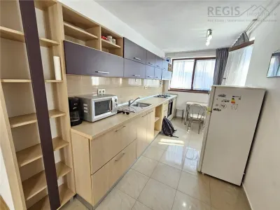 Studio Modern Astra str Vulturului -PET FRIENDLY - foto 4