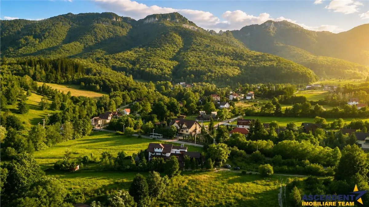 FILM! Investitie 2 in 1:Unitati independente +domeniu 1.742mp,aria Bran,Tohanita,Brasov - foto 1