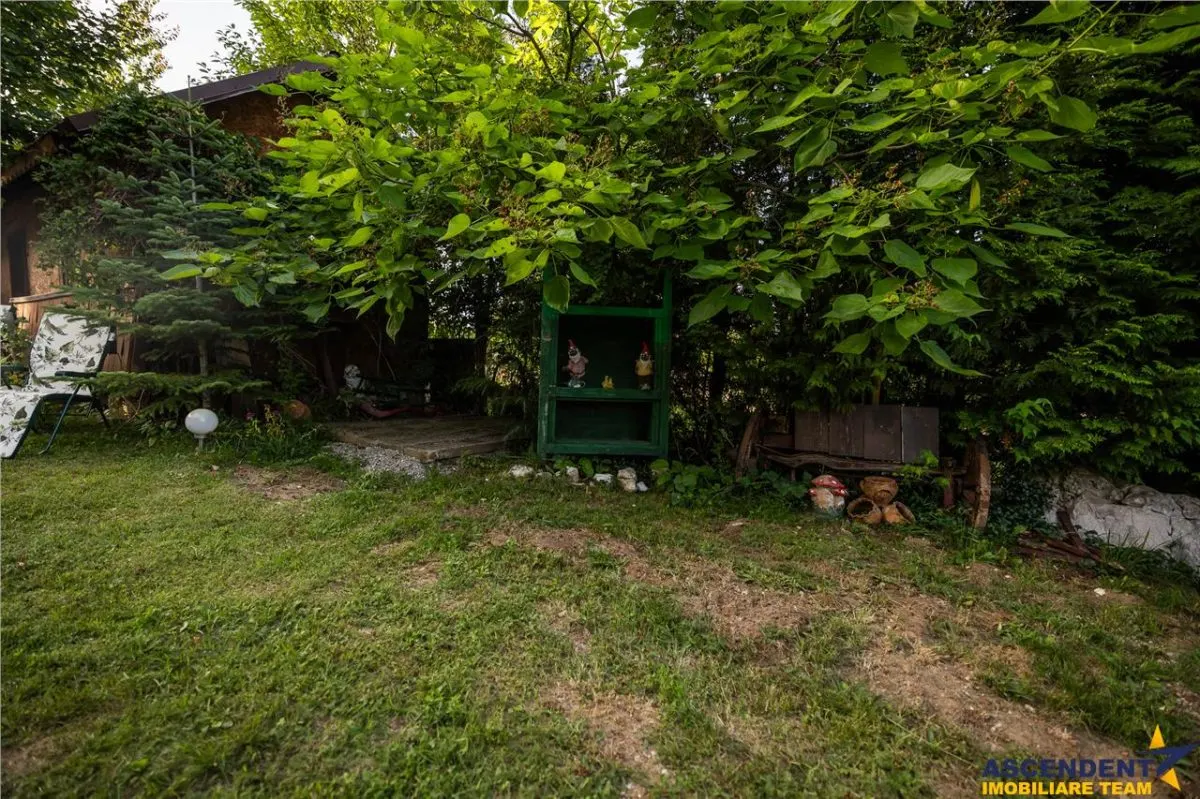 FILM! Investitie 2 in 1:Unitati independente +domeniu 1.742mp,aria Bran,Tohanita,Brasov - foto 16