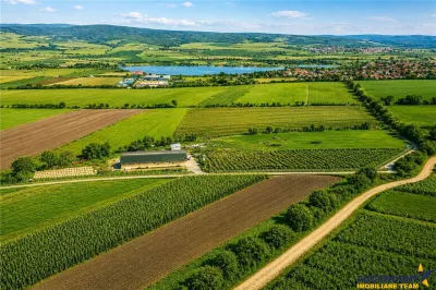 FILM! 18.000 mp, extravilan, agricol+ constructii:ferma,investitii agricole, Rotbav, Brasov - Rotbav