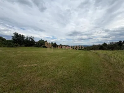 Teren intravilan 6279 mp, Danesti - foto 5