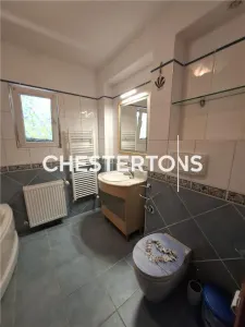 Inchiriere Vila Premium Garden/6 camere /Elegant mobilata/ Piscina/gradina superba - foto 20