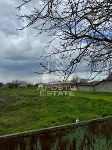 Teren intravilan 1000 mp in Dinias 20km de Timisoara - foto 2