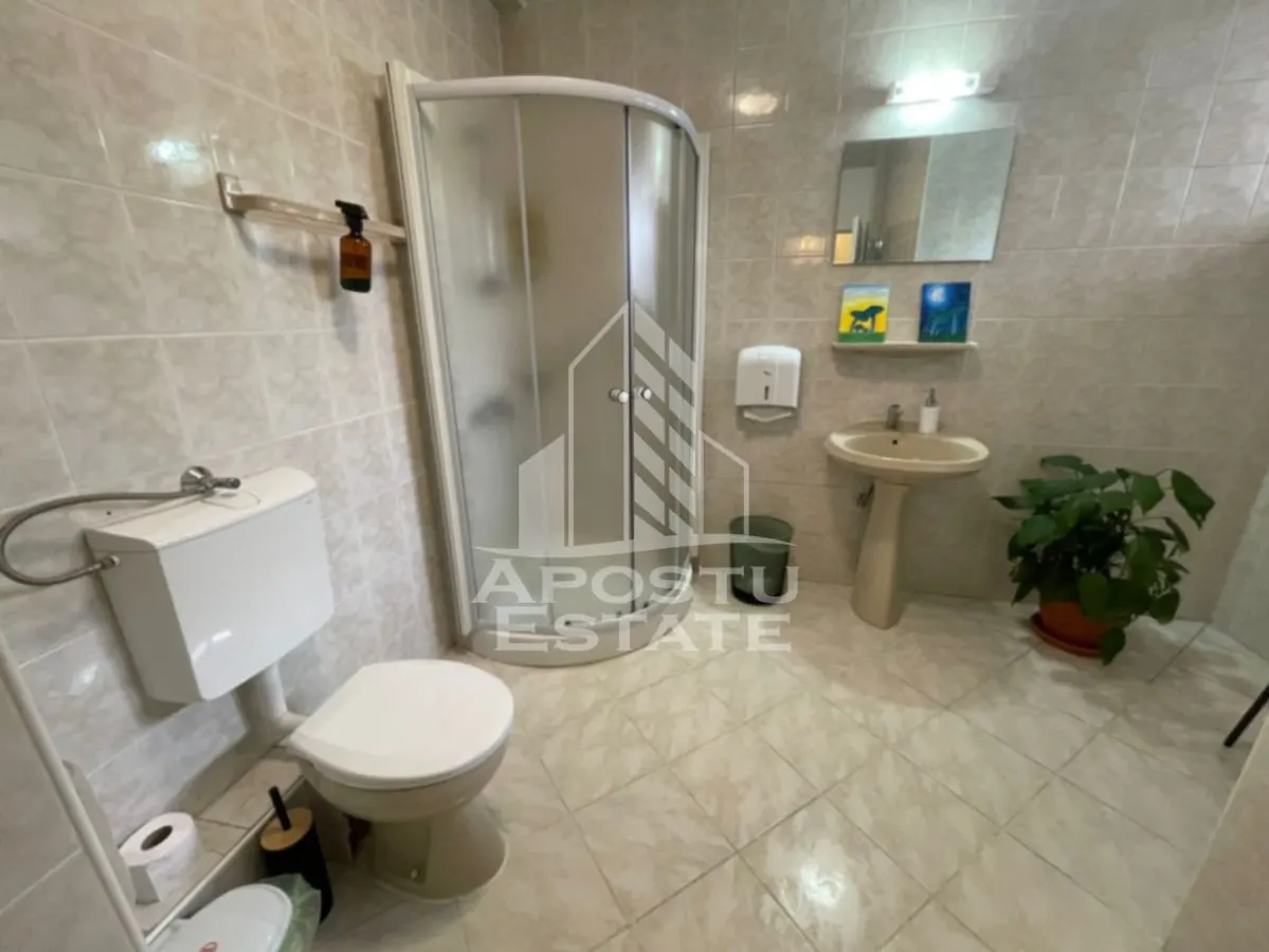 Vila P+2E, 6 camere, 3 bai, garaj dublu, zona Lipovei - foto 7