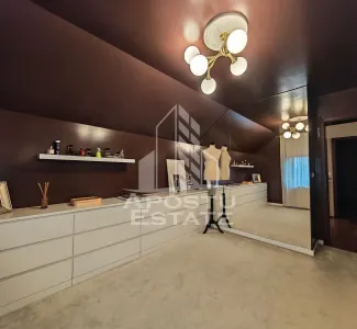 Casa individuala de vanzare cu 11 camere, an 2000, Lipovei, Timisoara - foto 10