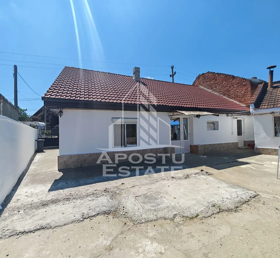Casa individuala de vanzare, renovata, Sag, Timis - foto 1