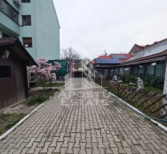 Casa individuala de vanzare cu 4 camere, 2 bai si 2 garaje, Lipovei - foto 6