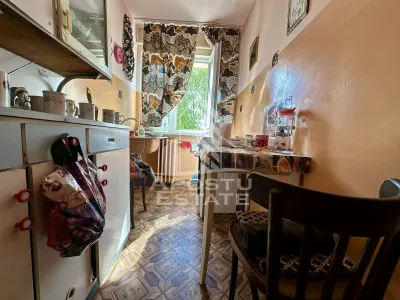 Apartament cu 2 camere de vanzare, zona Sagului, Timisoara - foto 4