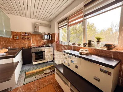 Casa individuala la sat, 5 camere, in Voiteg, judetul Timis - foto 11