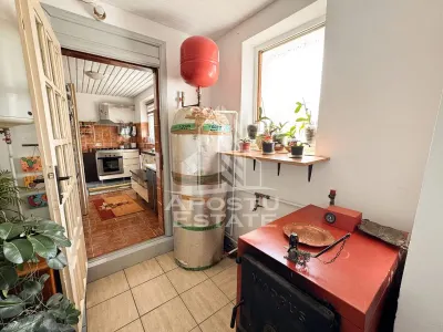Casa individuala la sat, 5 camere, in Voiteg, judetul Timis - foto 14