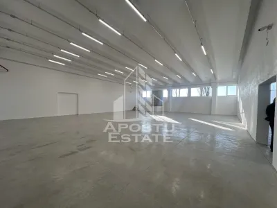 Hala industriala 363 mp de inchiriat – Freidorf - Timisoara