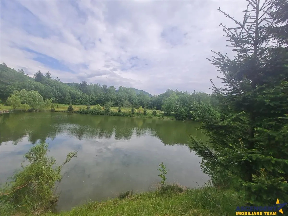 FILM! Oaza paradisiaca cu lac, vedere catre Bucegi, Glajerie/ Rasnov, pretabil Casute/Pensiune - foto 17