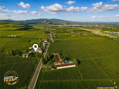 Proprietate unica in zona viticola Odobesti, Vrancea, casa boiereasca cu 4.000 mp de teren intravilan - foto 5