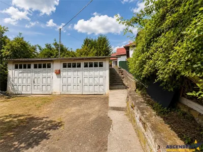 Proprietate deosebita, pe domeniu de 2.300 mp, panorama, Subpadure, Targu Mures:FILM&Tur 3D! - foto 12