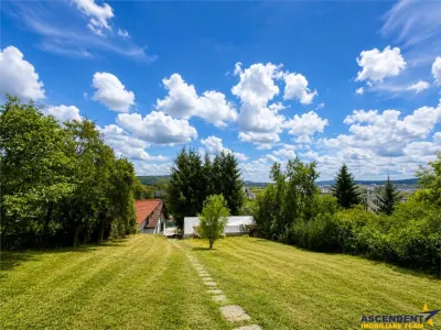 Proprietate deosebita, pe domeniu de 2.300 mp, panorama, Subpadure, Targu Mures:FILM&Tur 3D! - foto 5