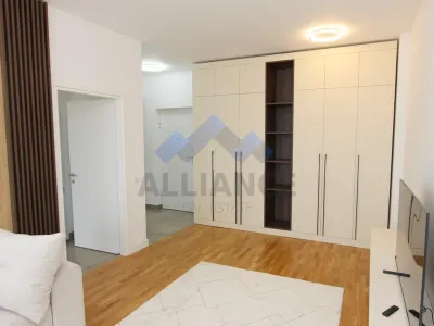 Apartament modern mobilat si utilat, Silk District - foto 4