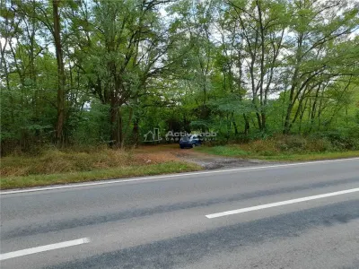 Resita,5561 mp.Teren INTRAVILAN Km.8,la Sosea 10 Euro mp.. - foto 4