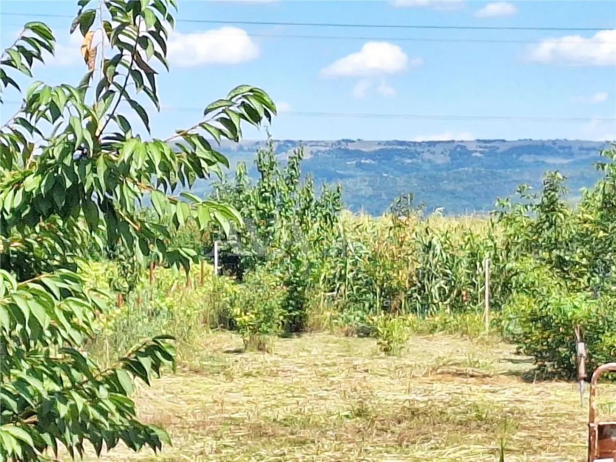 Casa 3 camere, 75 mp utili – Letea Veche | Teren 250 mp - foto 7