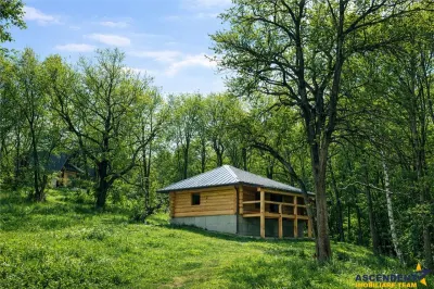 3.000mp de incantare montana cu cabana din lemn masiv, Zarnesti Tohanita - Zarnesti