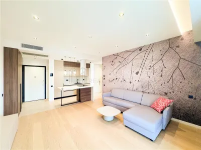 Apartament de inchiriat 2 camere One Herastrau Vista - Bucuresti